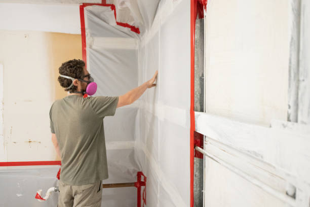 Best Water Damage & Mold Remediation  in Camp Hill, AL