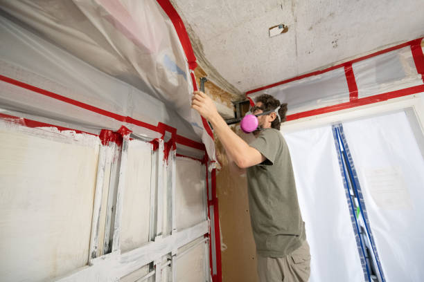 Best Attic Mold Removal  in Camp Hill, AL