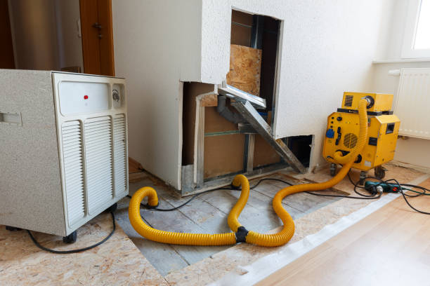 Dehumidification Services in Camp Hill, AL
