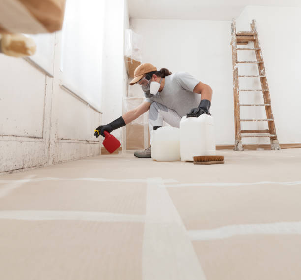 Best Airborne Mold Testing  in Camp Hill, AL